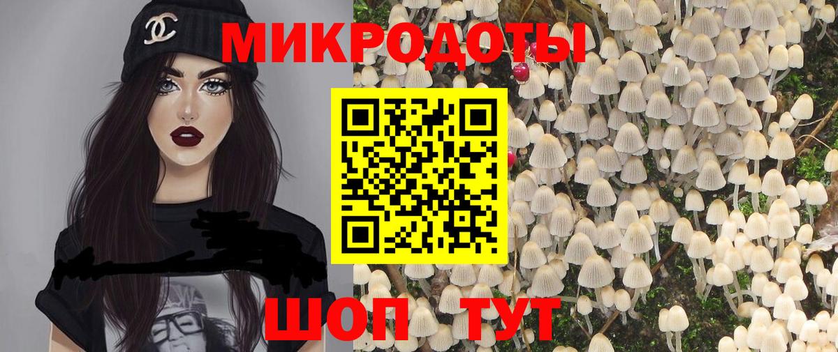 где можно купить   Псилоцибиновые грибы MAGIC MUSHROOMS  Вход с VPN  Домодедово 
